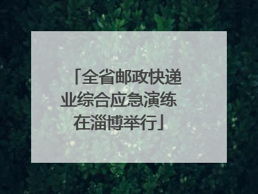 全省邮政快递业综合应急演练在淄博举行